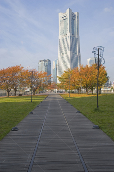 秋天,接力赛,铝的,横滨地标大厦,横滨高速铁路,横滨,自然,垂直画幅,城镇景观,地形