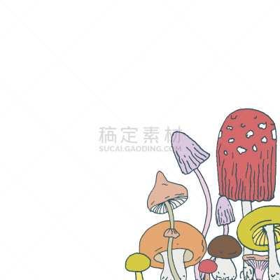 蘑菇,森林,角度,伞形毒菌,香菇,边框,素食,绘画插图,墨水,古典式