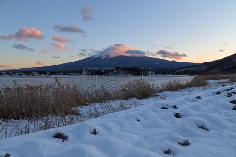 日本,冬天,山,富士山,水平画幅,雪,早晨,旅行者,户外,湖