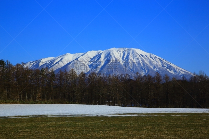 冬天,农场,自然,草原,水平画幅,雪,无人,日本,户外,霞石