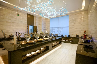 交通工具内部,豪华酒店,餐馆,座位,灯,石材,家具,饮料,现代,晚餐