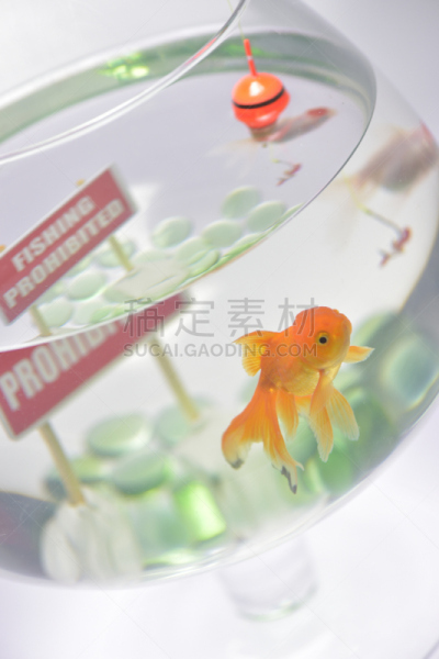 玻璃鱼缸,鱼钩,标志,鸭舌帽,禁止的,垂直画幅,水平画幅,水下,玻璃,家庭生活
