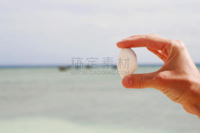 贝壳,海洋,水,纹理效果,沙子,动物身体部位,旅行者,夏天,海浪,海滩