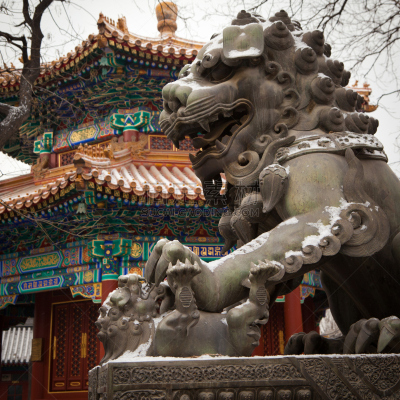 雍和宫,雌狮,青铜,北京,建筑,无人,方形画幅,冬天,著名景点,中国