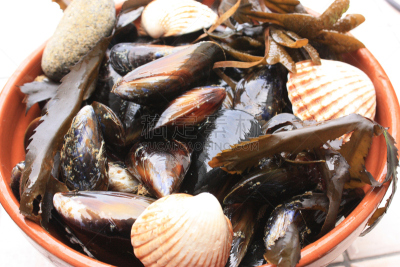 贻贝,贝壳,商业厨房,海蚌,开胃品,法国,水平画幅,膳食,法式食品,海产