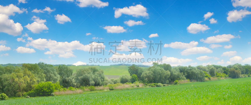 天空,云,田地,农业,绿色,地形,蓝色,宽的,光,摄影