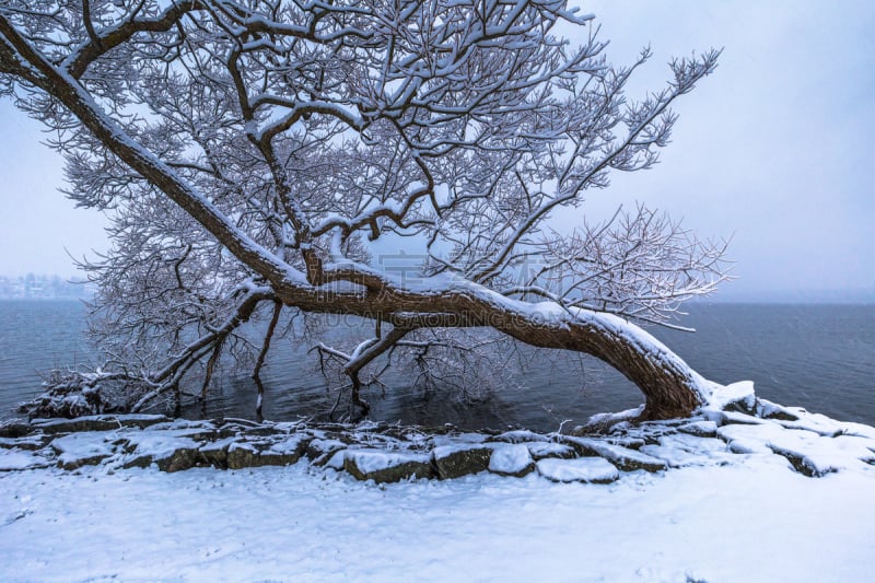 圣诞节,瑞典,冬天,冻结的,2016,马拉伦湖,水,水平画幅,雪,无人