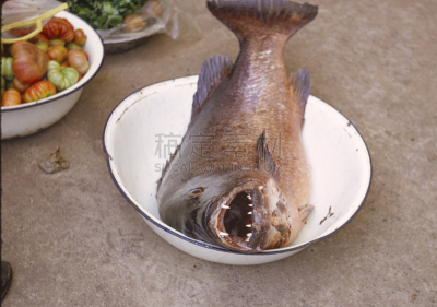 尼罗河,鲈鱼,格子烤肉,水平画幅,食品杂货,简易钓鱼,海产,异国情调,户外,烤的