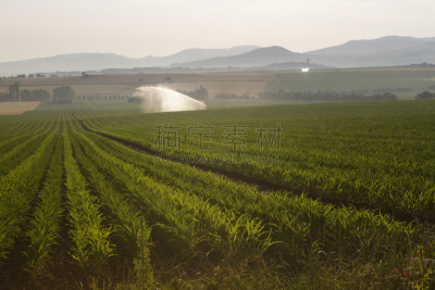 奥弗涅,灌溉设备,田地,地下水,自动喷水机,水平画幅,景观设计,无人,户外,山