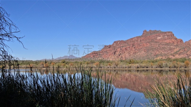 tonto national forest,仙人掌,湖,盐河,沙漠,河流,岩石,户外,沙漠绿洲,自然