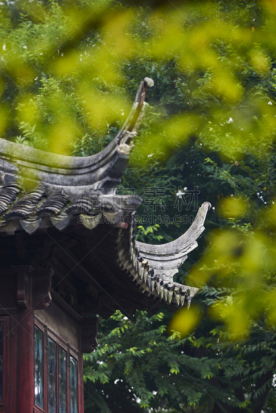 苏州,园林,拙政园,东方石景花园,星和园,自然,垂直画幅,旅游目的地,建筑,无人