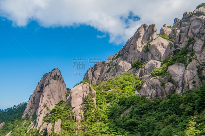 黄山山脉,中国,自然,松树,水平画幅,山,无人,户外,中长距离,松科