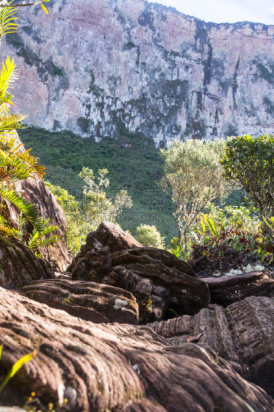 罗赖马山,平顶山,canaima,罗赖马州,平顶山区,委内瑞拉,垂直画幅,南美,无人,户外