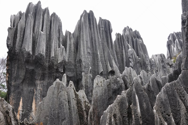 石林,风景,非凡的,悬崖,旅游目的地,水平画幅,冬天,无人,世界遗产,户外