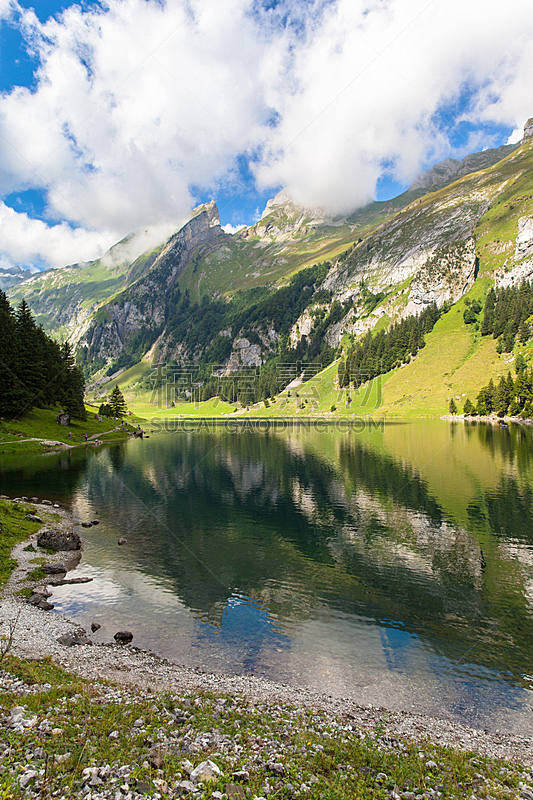 湖,风景,非凡的,垂直画幅,桑蒂斯,无人,夏天,户外,草,瑞士阿尔卑斯山