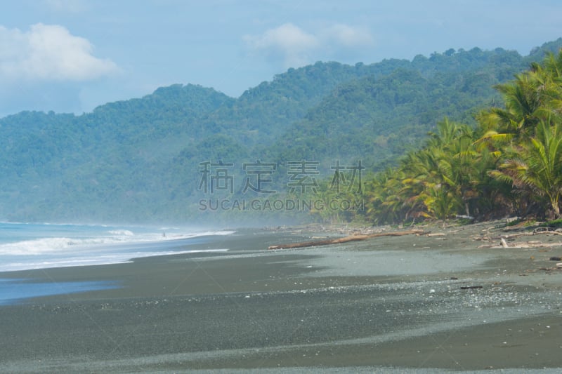 哥斯达黎加,海滩,空手道,自然,奥沙半岛,热带气候,图像,太平洋,无人,海岸线