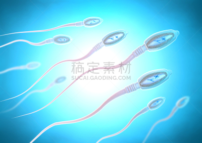 细胞,精子,绘画插图,三维图形,鸡蛋,生物学,旅途,健康保健,家庭,显微图片