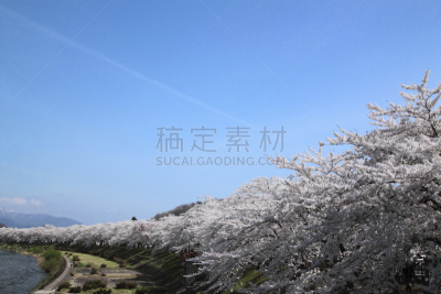 角馆,樱花,秋田县,江户时代,自然,水平画幅,樱桃,无人,日本,有机食品