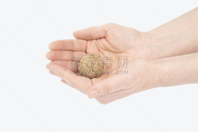 胡桃,生姜,活力,身体活动,一个人,女人,商业金融和工业,园林,休闲活动,水果