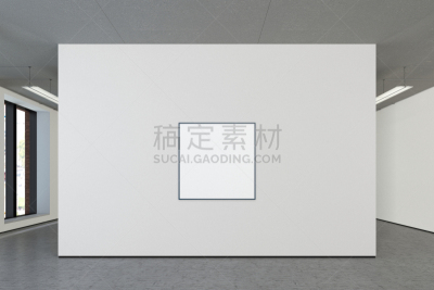 空白的,画廊的开幕式,正面视角,留白,边框,艺术,水平画幅,墙,无人