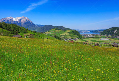 瑞士,山,春天,看风景,卢塞恩湖,瓦尔登广州,卢塞恩,毛莨科,瑞士阿尔卑斯山,水平画幅