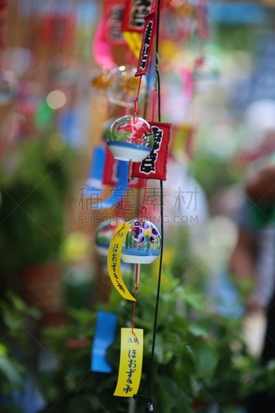 风,那卡米色麻草,浅草观音寺,日本风铃,宫灯百合,垂直画幅,无人,日本,夏天,户外