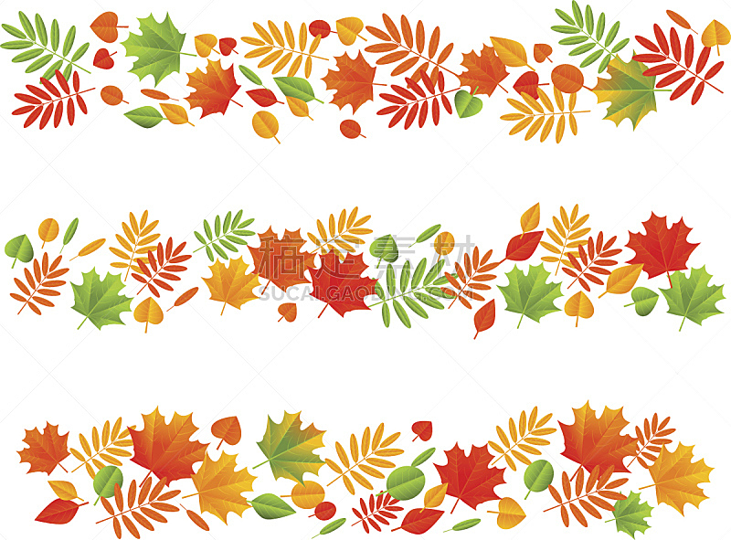 秋天,叶子,国境线,山梨树,九月,十月,边框,橙色,色彩鲜艳,植物