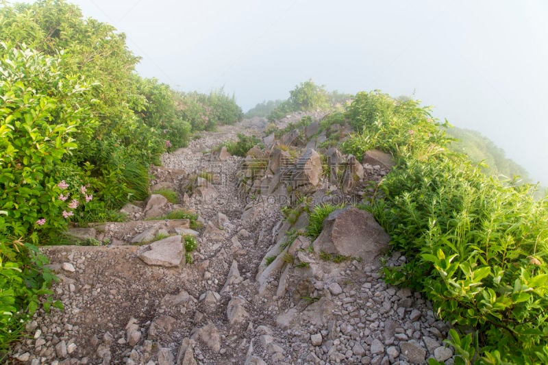 自然,daisen,山,小路,活力,纯净,运动,山口,色彩鲜艳,本州岛中国地区