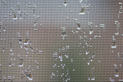 雨,雨滴,鱼网,选择对焦,水,气候,水平画幅,水的各种形态,无人,金属