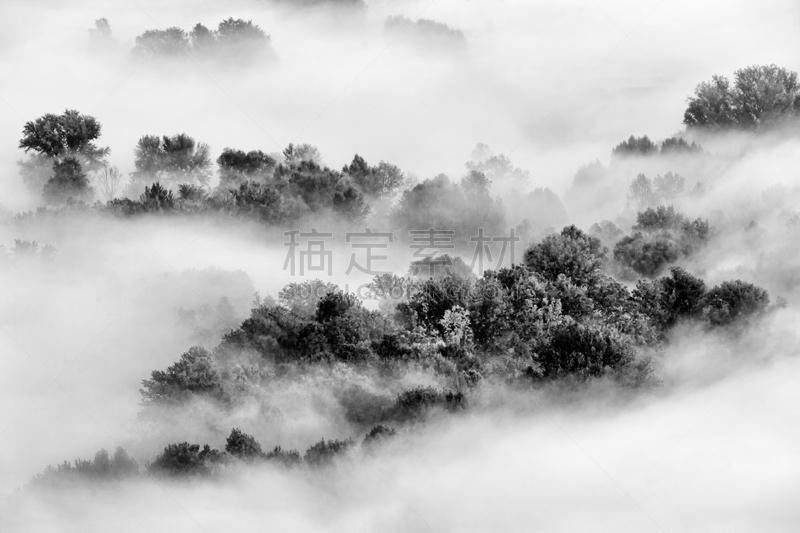 雾,森林,秘密,怪异,安静,林区,河流,户外,大自然保护协会,草地