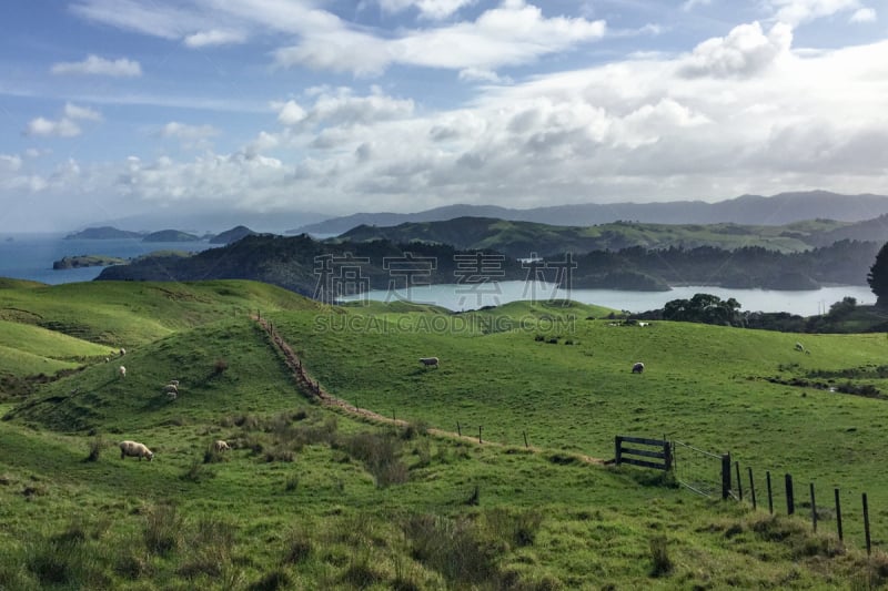 科罗曼德尔半岛,自然美,居住区,cathedral cove,水,水平画幅,沙子,半空中,夏天,户外