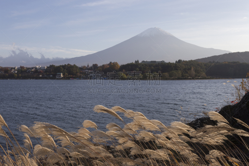 富士山,山,秋天,日本,saiko lake,富士吉田,山之湖,河口湖,水平画幅,无人