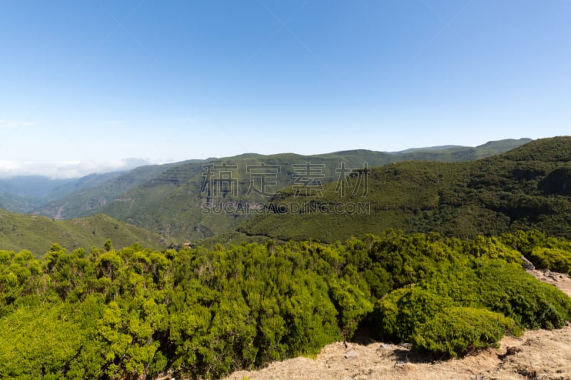 山,雨林,葡萄牙,全景,航拍视角,马德拉群岛,美,水平画幅,无人,大西洋群岛