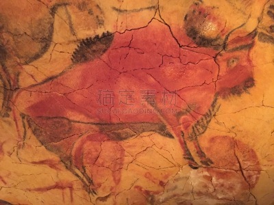 石洞壁画,壁画,西班牙,北,欧洲,远古的,考古学,阿尔塔米拉洞窟,美术工艺,部落艺术
