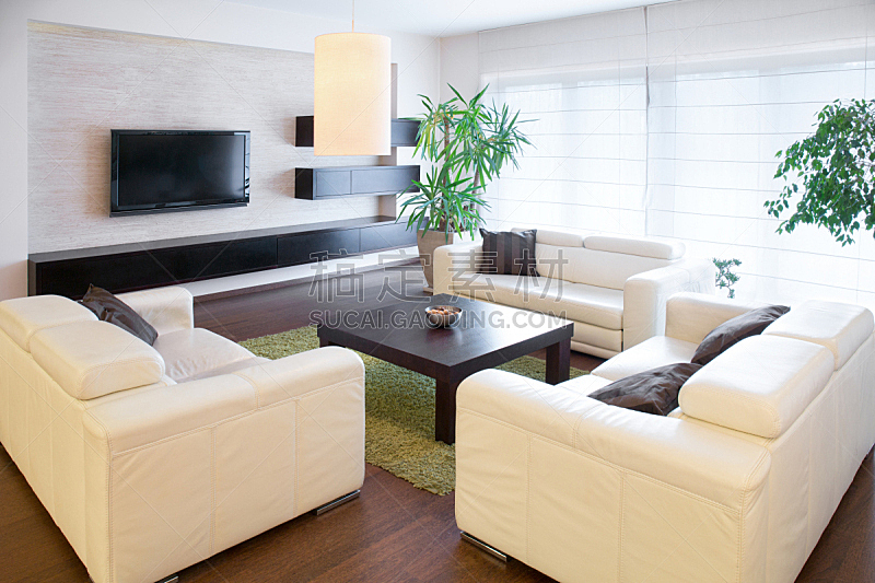 沙发,白色,舒服,水平画幅,无人,巨大的,家具,室内植物,明亮,居住区
