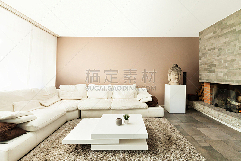 沙发,白色,公寓,室内,自然美,新的,水平画幅,墙,无人,皮革