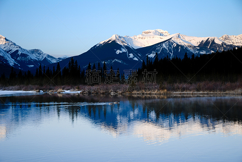 维米里恩湖,阿尔伯塔省,冬天,黎明,加拿大,加拿大落基山脉,水平画幅,雪,鸟类,早晨