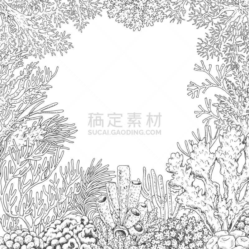 水下,背景,珊瑚,海底,海草,深的,大堡礁,水生动植物,轮廓,海洋