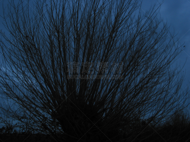宫（德语）,敦克尔德,硅藻土,德意志级战列舰,基尔周,2002,树园,石勒苏益格-荷尔斯泰因,悲痛,艺术