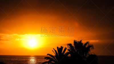 早晨,夏威夷大岛,曙暮光,古巴克里尼达,棕榈树,海滩,热带气候,黎明,安提瓜,波拉波拉