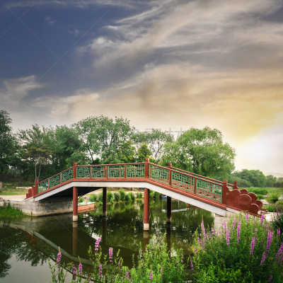 风景,东方石景花园,佛花,珍珠菜,颐和园,水,公园,无人,夏天,户外