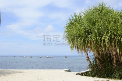 岛,海洋,海岸线,鸡尾酒,植物群,蓝色,云,草类,阿瓦隆沙滩,八打雁省