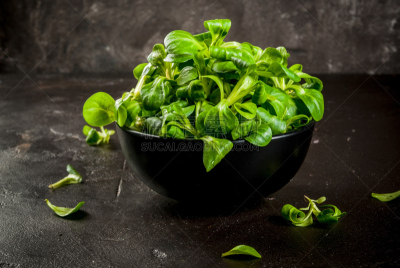野苣,生食,沙拉,leafy gall,石片,菠菜,菊苣,莴苣,芝麻菜,膳食纤维
