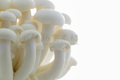 姬菇,白色,自然,水平画幅,素食,无人,山毛榉树,有机食品,生食,白色背景