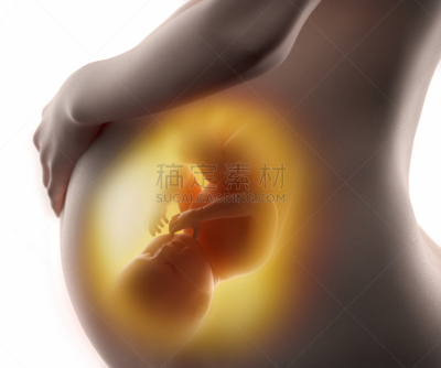 女人,白色,婴儿,胎儿,肚脐,幸福,水平画幅,父母,手
