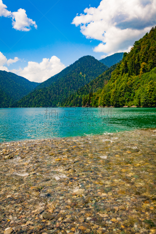 水,湖,自然美,地形,斯内克山脉,八仙湖,森林湖,玉树,凤凰木,水鸟湖
