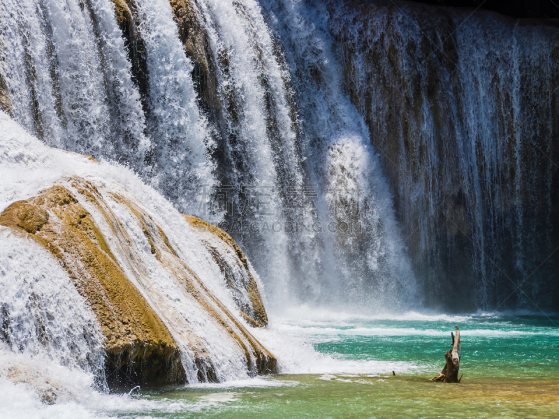 瀑布,恰帕斯州,雨林,墨西哥,枝繁叶茂,大特写,agua azul cascades,水,水平画幅,纯净