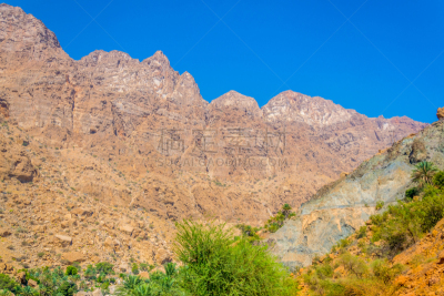 阿曼,陡峭,山,河床,深的,热带气候,波斯湾,棕榈叶,河流,热带树