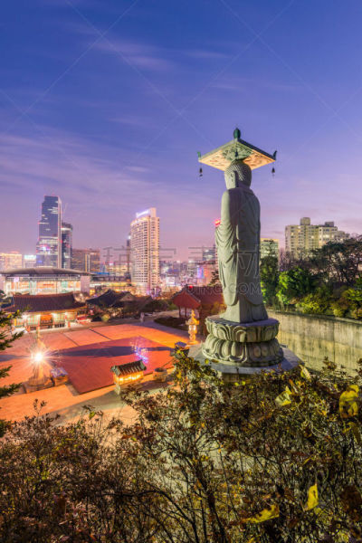 首尔,市区,城市天际线,寺庙,城市,韩国,垂直画幅,夜晚,旅行者,户外