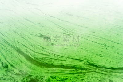 水,运河,绿藻,绿色,艺术,水平画幅,无人,水下,夏天,生物学